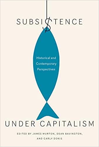 Subsistence under Capitalism: Historical and Contemporary Perspectives (Volume 4)