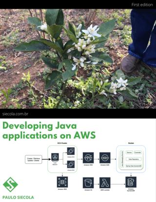 Developing Java microservices on AWS: Create and deploy Java microservices with Spring Boot and Docker on AWS ECS