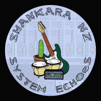 VA - Shankara NZ - System Echoes (2021) (MP3)
