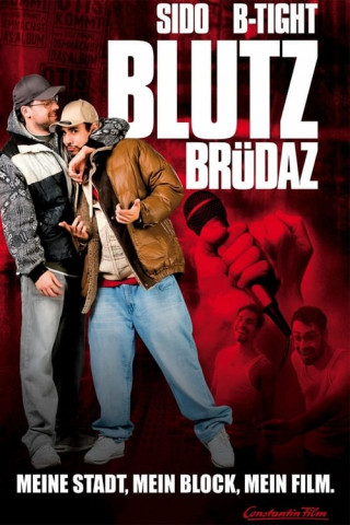 Blutzbruedaz.2011.German.AC3.1080p.BluRay.x265-FuN