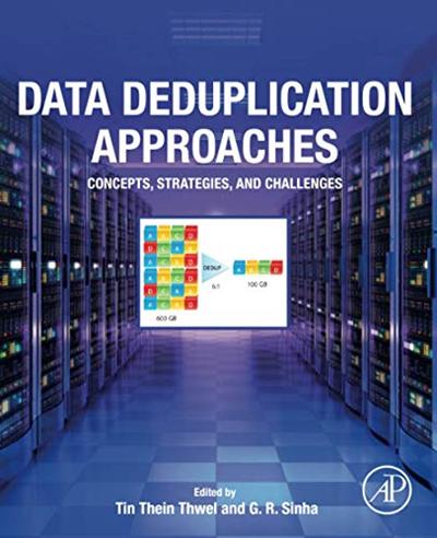 Data Deduplication Approaches: Concepts, Strategies, and Challenges [EPUB]