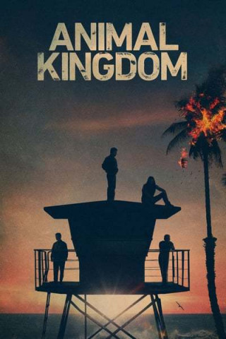 Animal Kingdom S05E08 Bruderkampf German Dl 1080p Hdtv x264-Mdgp