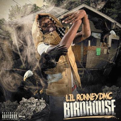 VA - Lil Ronney DMC - Bird House (2021) (MP3)