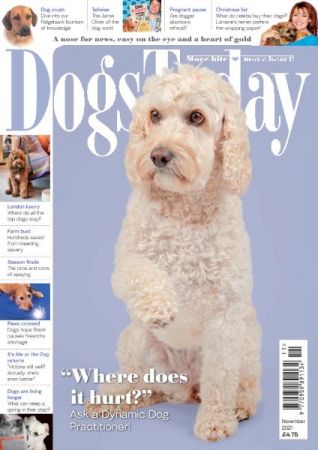 Dogs Today UK   November 2021