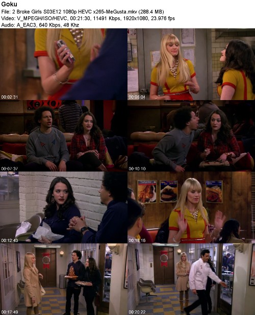 2 Broke Girls S03E12 1080p HEVC x265-MeGusta