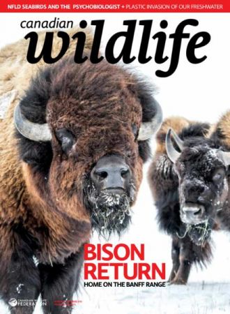 Canadian Wildlife   November December 2019