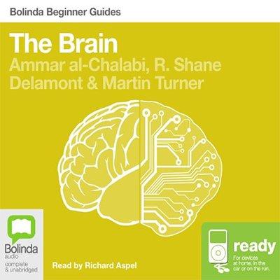 The Brain: Bolinda Beginner Guides (Audiobook)