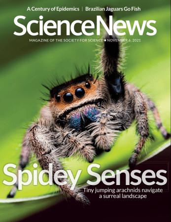 Science News   06 November 2021