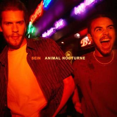 VA - SEIN - Animal Nocturne (2021) (MP3)