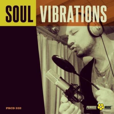 VA - Primrose Music - Soul Vibrations (2021) (MP3)