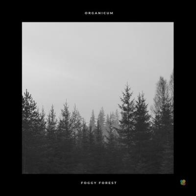 VA - Organicum - Foggy Forest (2021) (MP3)