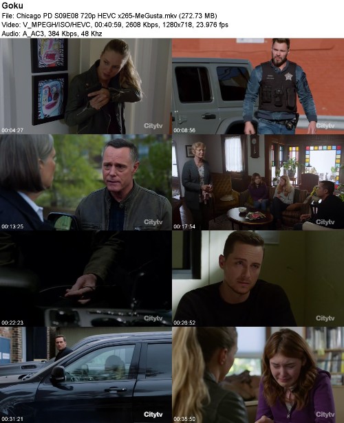 Chicago PD S09E08 720p HEVC x265-MeGusta
