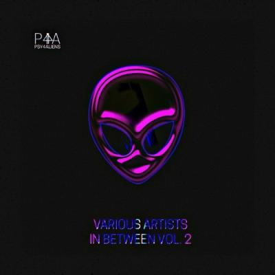 VA - In Between Vol. 2 (2021) (MP3)
