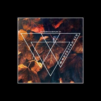 VA - Autumn Sampler 2021 (2021) (MP3)