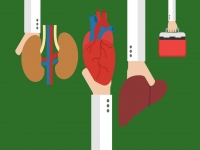 МОЗ: підвищення тарифів на трансплантацію серця та легень