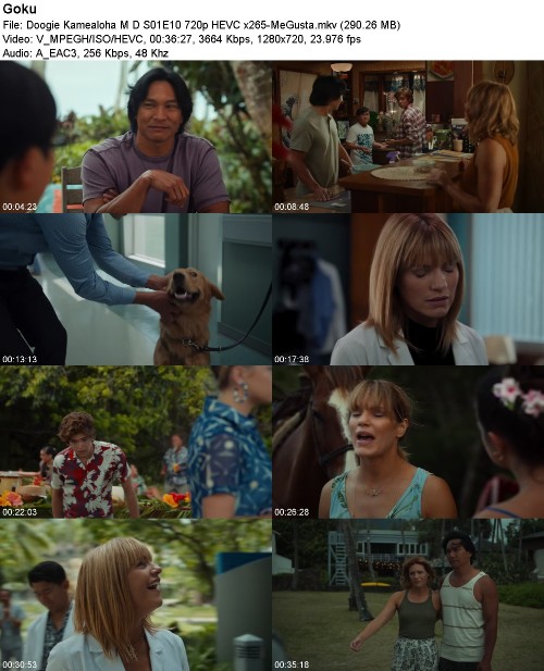 Doogie Kamealoha M D S01E10 720p HEVC x265-MeGusta