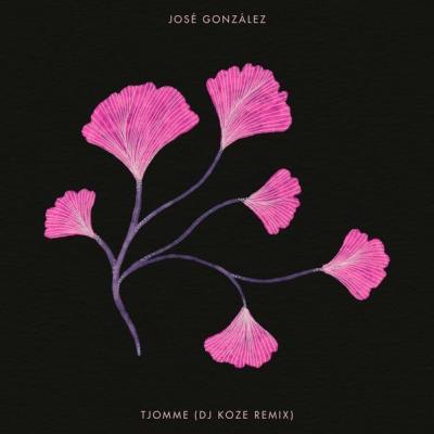 VA - José González - Tjomme (DJ Koze Remix) (2021) (MP3)