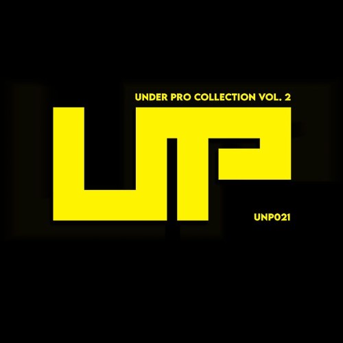 VA - Under Pro Collection, Vol. 2 (2021) (MP3)