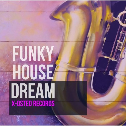 VA - Funky House Dream (2021) (MP3)