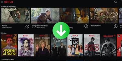 TunePat Netflix Video Downloader 1.7.3 Multilingual