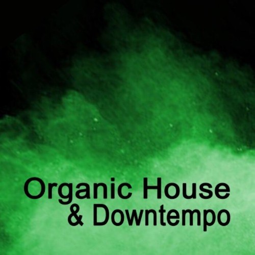 Organic House & Downtempo (The Best Vibrations Of Orgánica, Dreamy House & Deep Tribal House) (2021)