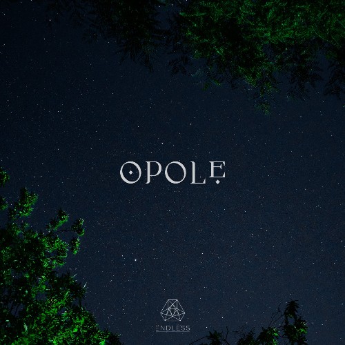 VA - Opole - Gilded Not Golden (2021) (MP3)