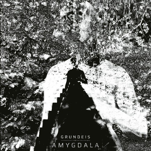 VA - Grundeis - Amygdala (2021) (MP3)