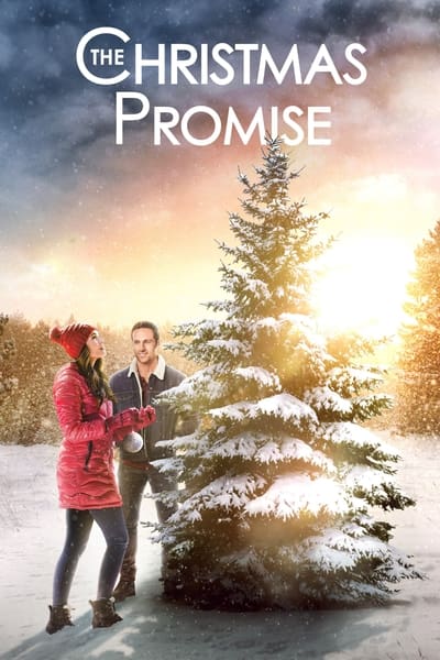 The Christmas Promise (2021) WEBRip XviD MP3-XVID