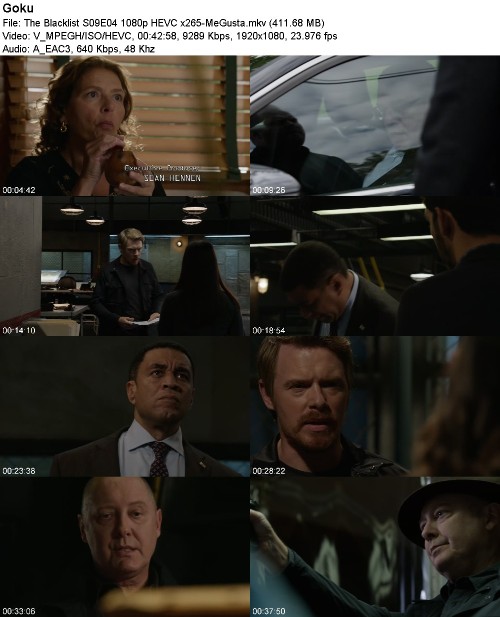 The Blacklist S09E04 1080p HEVC x265-MeGusta