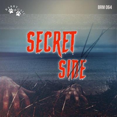 VA - Daniel Alejandro Fernandez Danmak - Secret Side (2021) (MP3)