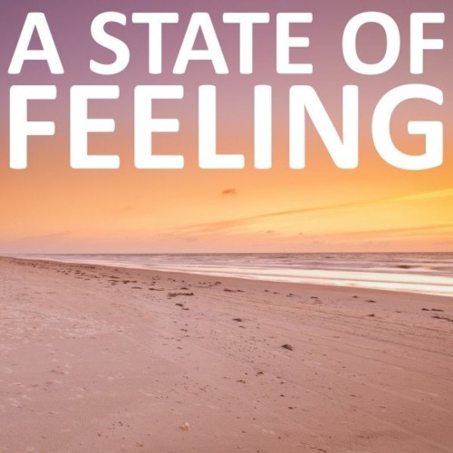 VA - A State of Feeling (2021) (MP3)