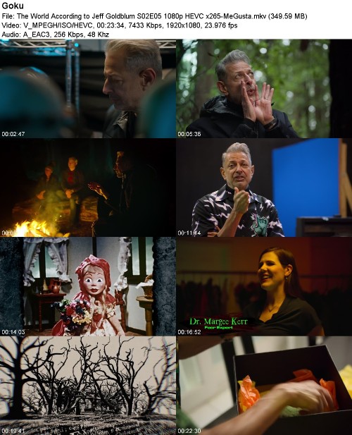 The World According to Jeff Goldblum S02E05 1080p HEVC x265-MeGusta