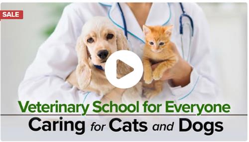 The Great Courses - Veterinary School for Everyone Caring for Cats and Dogs