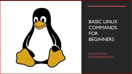 Skillshare - Linux Commands for Beginners 2021
