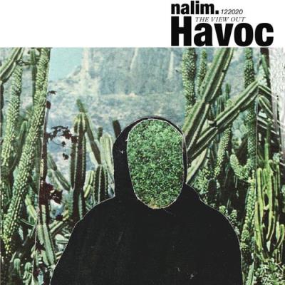 VA - Nalim - HAVOC (2021) (MP3)