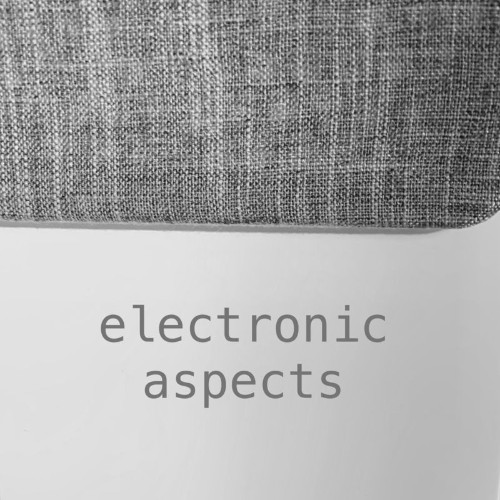 Electronic Aspects XIX (2021)