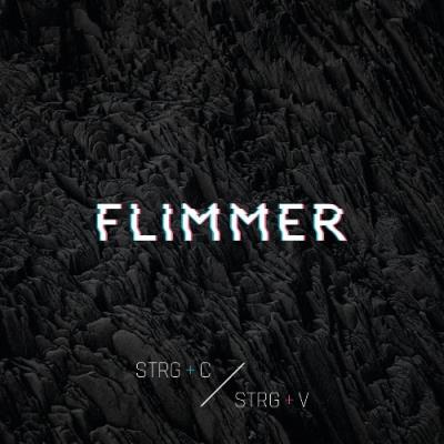 VA - Flimmer - Strg+C Strg+V (2021) (MP3)
