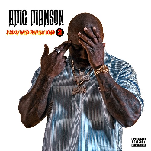VA - AMG Manson - Publicly Hated Privately Loved 2 (2021) (MP3)