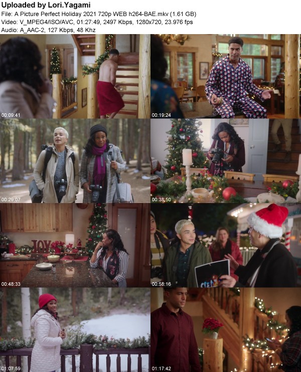 A Picture Perfect Holiday (2021) 720p WEB h264-BAE