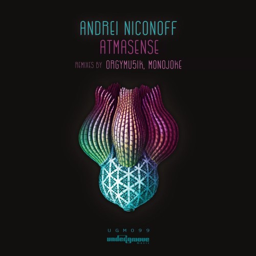 VA - Andrei Niconoff - Atmasense (2021) (MP3)
