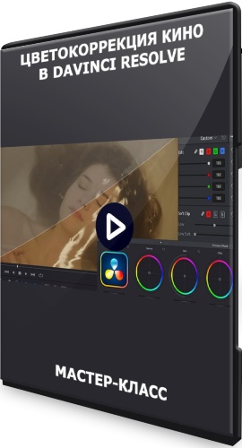    DaVinci Resolve (2021) -