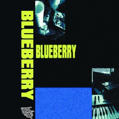 VA - DAM95 - Blueberry (2021) (MP3)