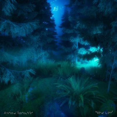 VA - Andrew Rothschild - New Leaf (2021) (MP3)