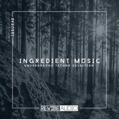VA - Ingredient Music, Vol. 48 (2021) (MP3)