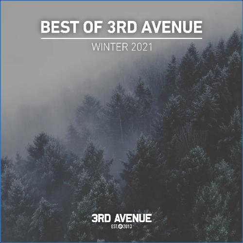 VA - Best Of 3rd Avenue | Winter 2021 (2021) (MP3)
