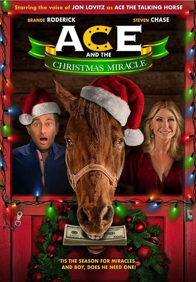 Ace and the Christmas Miracle (2021) 720p WEBRip AAC2 0 X 264-EVO