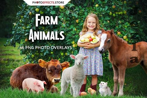 46 Farm Animals Photo Overlays - 6652852