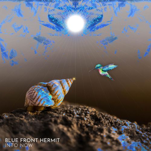 VA - Blue Front Hermit - Into Now (2021) (MP3)