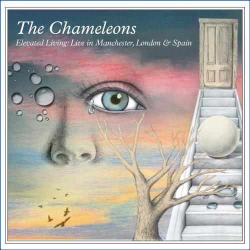 VA - The Chameleons - Elevated Living: Live In Manchester, London & Spain (2021) (MP3)