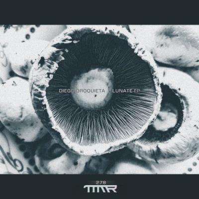 VA - Diego Oroquieta - Lunate EP (2021) (MP3)